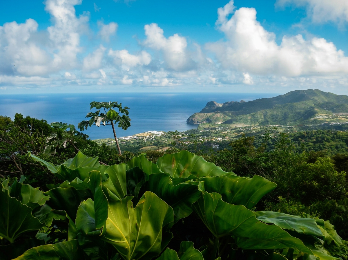 View over Little Bay and Montserrat's north coast from the Oriole / Blackwood Allen rainforest trail
